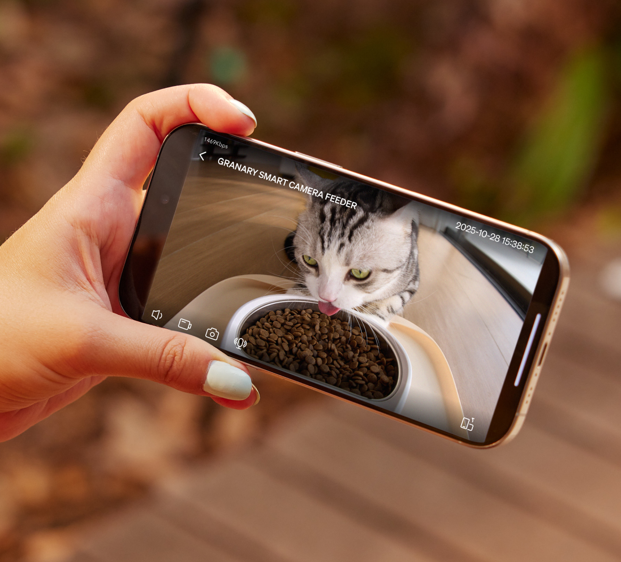 Petlibro PETLIBRO App zeigt Katze am automatischer Futterspender; Brunnen und Katzentoilette fürs Haustier im Smart-Home Setup