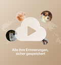 Petlibro PETLIBRO Banner mit Cloud-Play-Icon, Haustierfotos (Katze, Hund); Brunnen, Katzentoilette, automatischer Futterspender erwähnt
