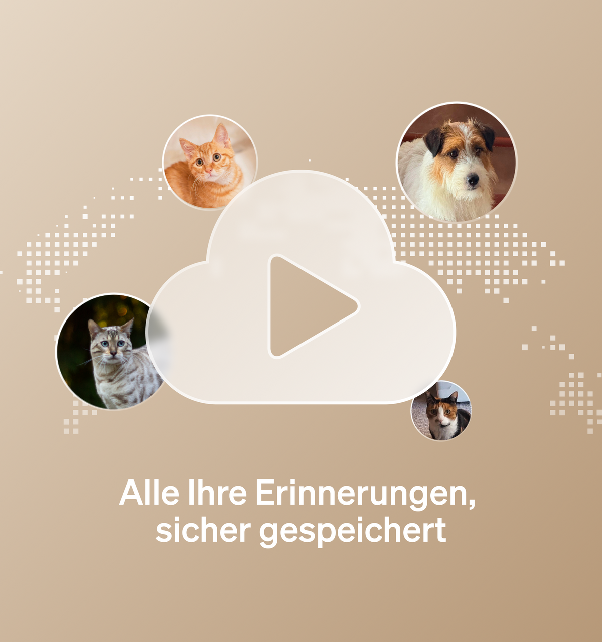 Petlibro PETLIBRO Banner mit Cloud-Play-Icon, Haustierfotos (Katze, Hund); Brunnen, Katzentoilette, automatischer Futterspender erwähnt