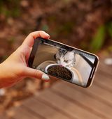 Petlibro PETLIBRO Brunnen für Haustier: Smartphone zeigt Katze am automatischer Futterspender, Hinweis auf Katzentoilette-App-Überwachung
