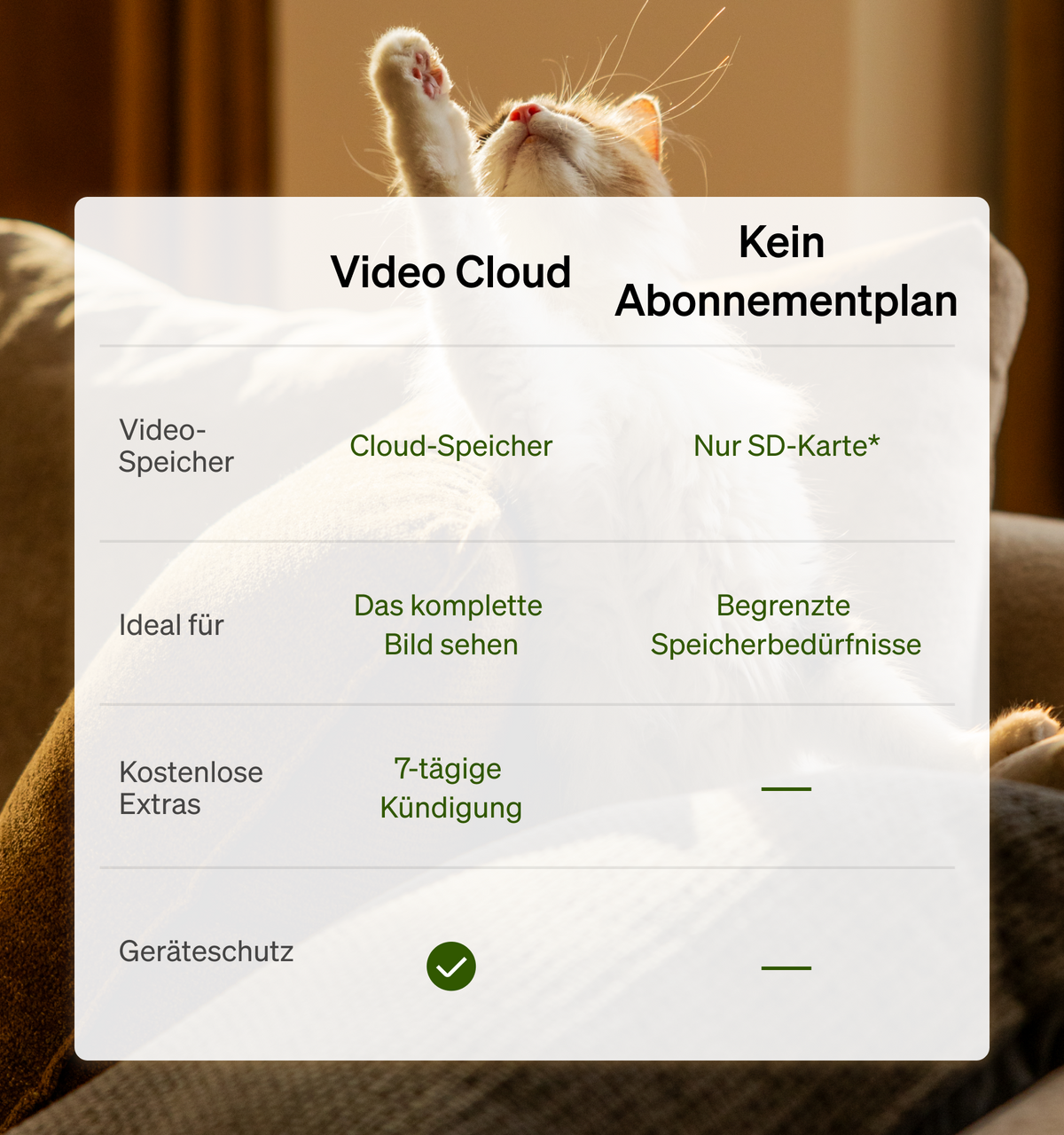 Petlibro PETLIBRO Banner: Katze auf Sofa, Text „Video Cloud“ vs „Kein Abonnementplan“, Brunnen, Katzentoilette, automatischer Futterspender Haustier