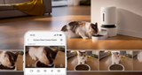 Petlibro PETLIBRO automatischer Futterspender neben Brunnen; Katze frisst im Wohnzimmer, App-Ansicht fürs Haustier, Katzentoilette erwähnt