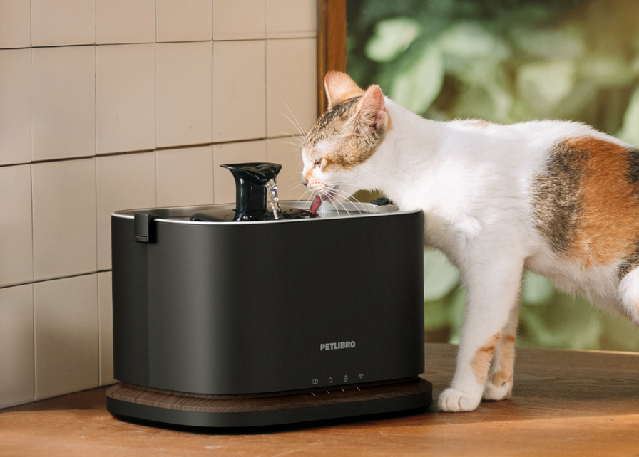 Dockstream 2 Smarter Trinkbrunnen