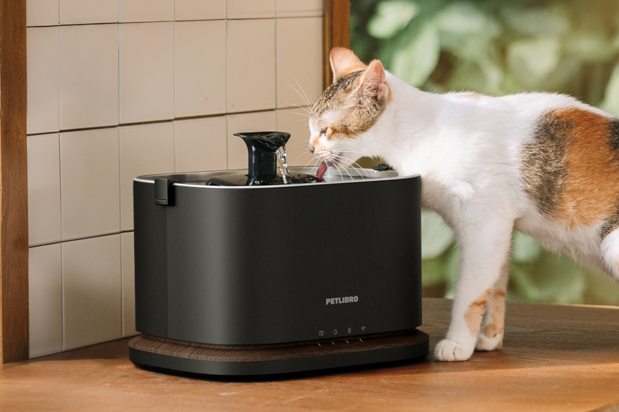 Dockstream 2 Smarter Trinkbrunnen