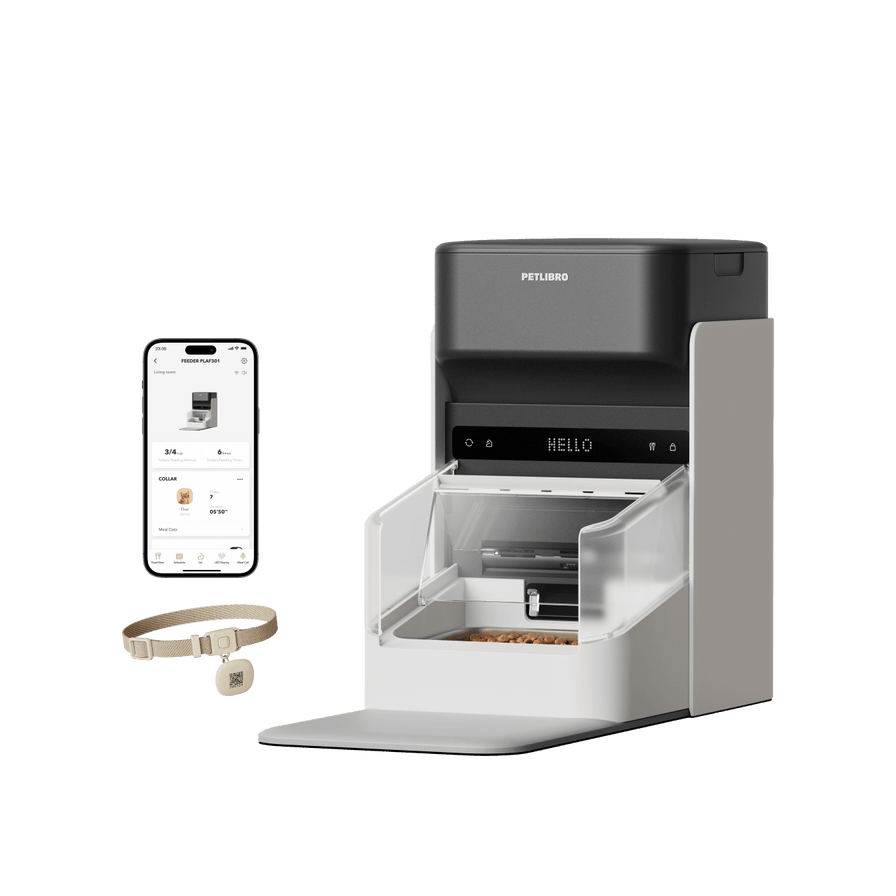 One RFID Futterautomat mit Halsband