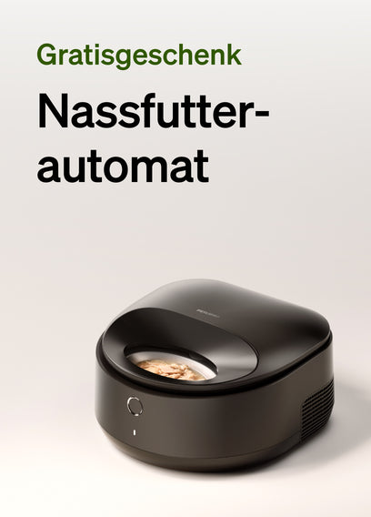 Gratis-Nassfutterautomat